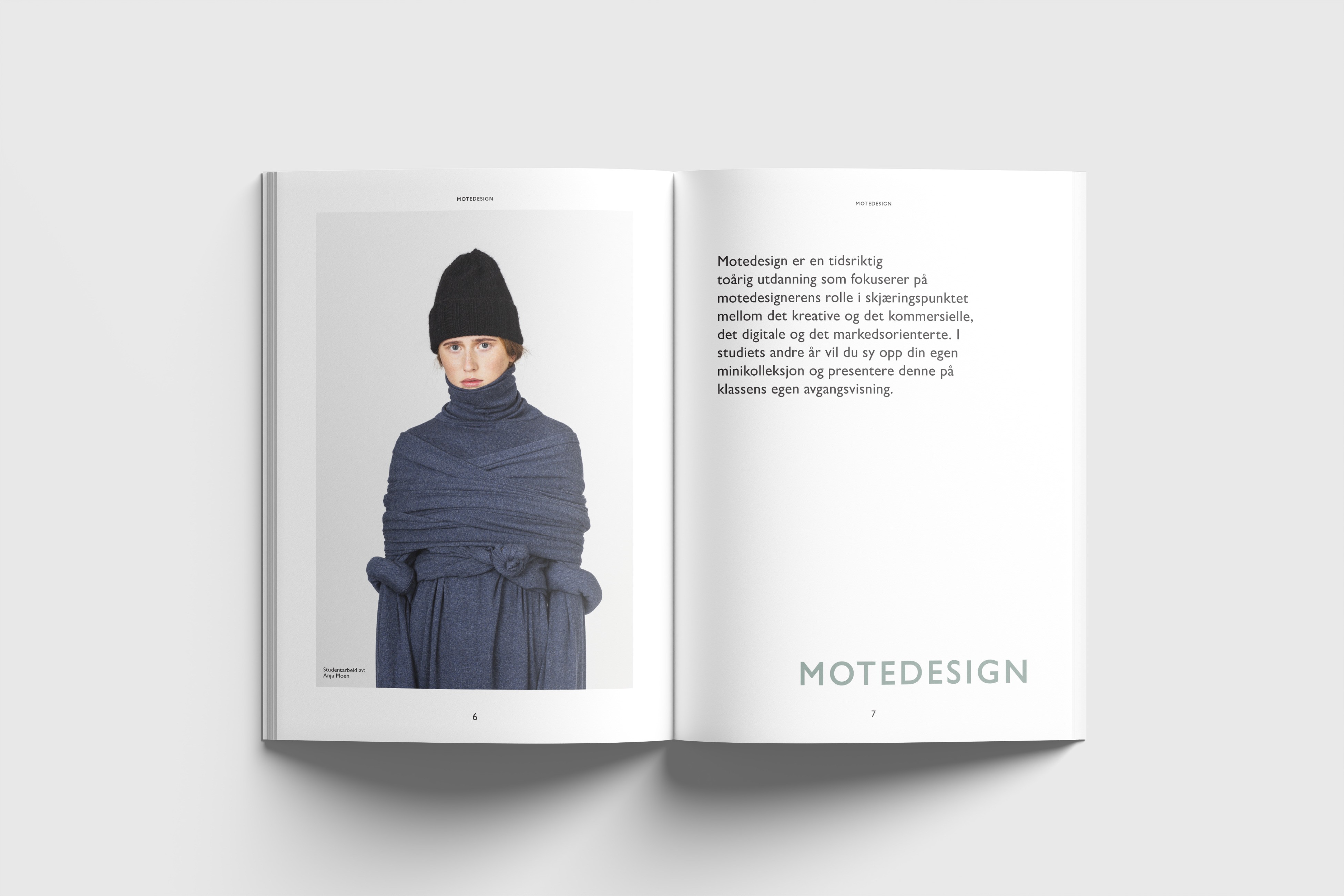 visual example 3 of design work - two tone sculptures